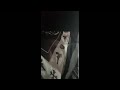 Yeat - Lyfers, featuring Lil Durk, Instagram Live snippet