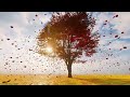 Top 30 Beautiful Romantic Piano Love Songs Melodies - Great Relaxing  Piano Instrumental Love Songs