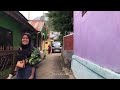 walking in an Indonesian village || green village under the lake || walking tour