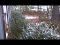 A White Christmas In Georgia