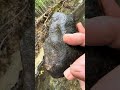 Mammoth Effigy / Face Stone