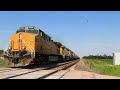 Chasing UP 5763 on a loaded grain train