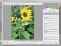 Camera Raw in Photoshop and Elements. Adobe Camera Raw Plugin.