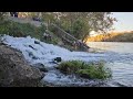 Fishing tript to Table Rock Lake in Brandon ,MO #nature #fishing #fishingadventure #wildlife