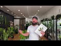 Why I Quit YouTube | Crazy Plant Life Updates
