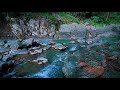 Relaxing River Sounds For Therapy of Mind, Stress Relief, Sleeping Well, Meditation