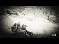 WTF._.The Invisable Outlaw  RDR2 online