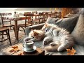 Healing Piano Jazz Work BGM Cafe Healing Relaxing Bossanova chill【Relaxing Cat Chord】