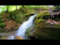 Mountain waterfall in the forest. Forest and river sounds(white noise)for1hour of sleep and rest
