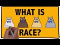PHILOSOPHY - Race: Racial Ontology #3a (Sociohistorical Theories of Race)