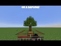 How to Build a Tree in Minecraft *NO SAPLING OR BONE MEAL*