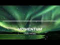 Momentum