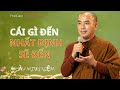 Cái Gì Đến Nhất Định Sẽ Đến | Thầy Minh Niệm | Hoa Hạnh Phúc @hoahanhphuc66