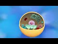 Animal cell and animal cell parts - Natural Science- Educational video for kids