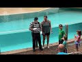 Lots of Laughs With Mime Tom at SeaWorld Orlando | Tom the Mime