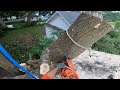 large box elder removal (grown into garage)