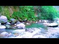 Relaxing River Sounds for Therapy of Water, Stress relief, Healing of Soul