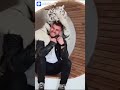 Tiger licking a man 👀👀#tiger #dangerous #viral #shorts Tiger showing love to the owner