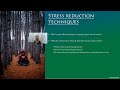 Athletic Flow States Mini-Course part 5.3 - Reducing stress 3 (exercise)