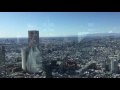 View from Tokyo Metropolitan Government Building