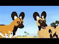 Wild Kratts MOVIE | 😸 Cats and Dogs 🐶 | PBS KIDS