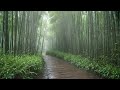 Healing rain noise for falling asleep, rain sounds for sleeping, asmr deep sleep