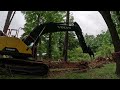Taking Down Some Massive Trees In The Woods With The 350!