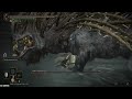 Elden Ring: Shadow of the Erdtree | Golden Hippo Boss Guide