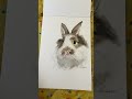 🐰🎨