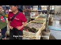 Surga Belanja Ikan Laut Segar & Olahan Boga Bahari di Resto Apung, Pedagang Jujur? #muaraangke