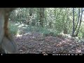 Squirrel Adjusts Camera Angle