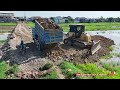 Perfectly action super Komatsu DR51px dozer push stone, 5ton dump trucks filling stone up into water