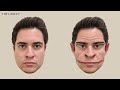 Visualising facial distortions in prosopometamorphopsia