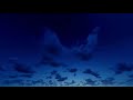 Le Cheval sauvage | Livre audio complet | Histoire pour s'endormir