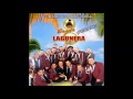 Banda Lagunera - Cumbias De La Lagunera [Audio]