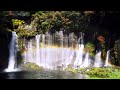 Incredible rainbow amongst waterfalls in HD | (waterfall white noise)