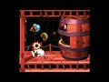 Donkey Kong Country 3