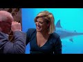 This Simple Product Can Change The Delivery Industry FOREVER! | Shark Tank AUS