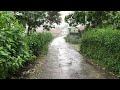 Walk in Super Heavy Rain in Village Life | Rain Fell Very Hard | Fall Asleep to the Sound of Rain