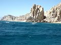 School of Mantas jumping out of water in Cabo San Lucas