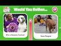 Would You Rather...? Animals Edition 🐶🐈‍