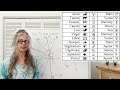 Astrology for Beginners: How to Read a Birth Chart