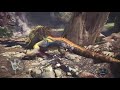 (LP Narratif) Monster Hunter World - Episode 2 - Première chasse