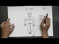 PSIKOTES GAMBAR Tes Wartegg, Draw a Person, Draw a Tree, House-Tree-Person | PSIKOTES