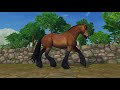 Star Stable Online - Mixing Horse Breeds