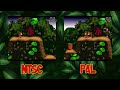 Donkey Kong Country NTSC/PAL version comparison (2 versions 1 controller!)