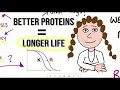 Better proteins - fidelity the key to longevity?