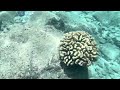 A boring and kinda loud snorkeling video