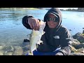 Bonneville Dam Shad Fishing UNBELIEVABLE CATCH! What Lures to Use