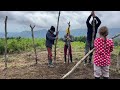 Nomadic Life: Building a Shelter for Calves, to Protect them from the Cold and Wild Animals